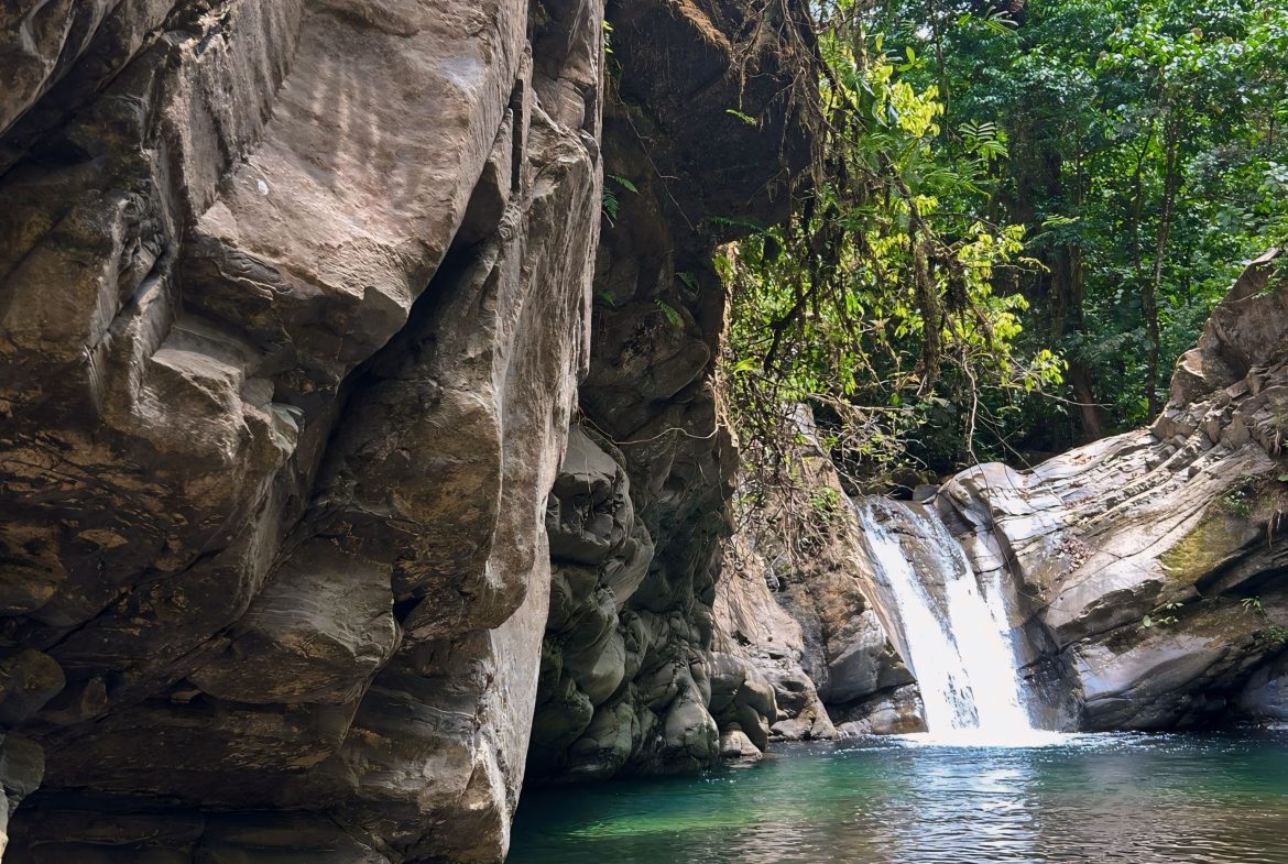 JUNGLE DREAMS FARM: WHERE NATURE MEETS SERENITY – 20 ACRES